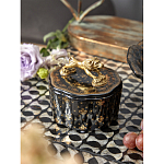 Шкатулка черного цвета с крышкой с фигуркой льва Eden Garden варинант исполнения - 6 | Loft Concept в Орле