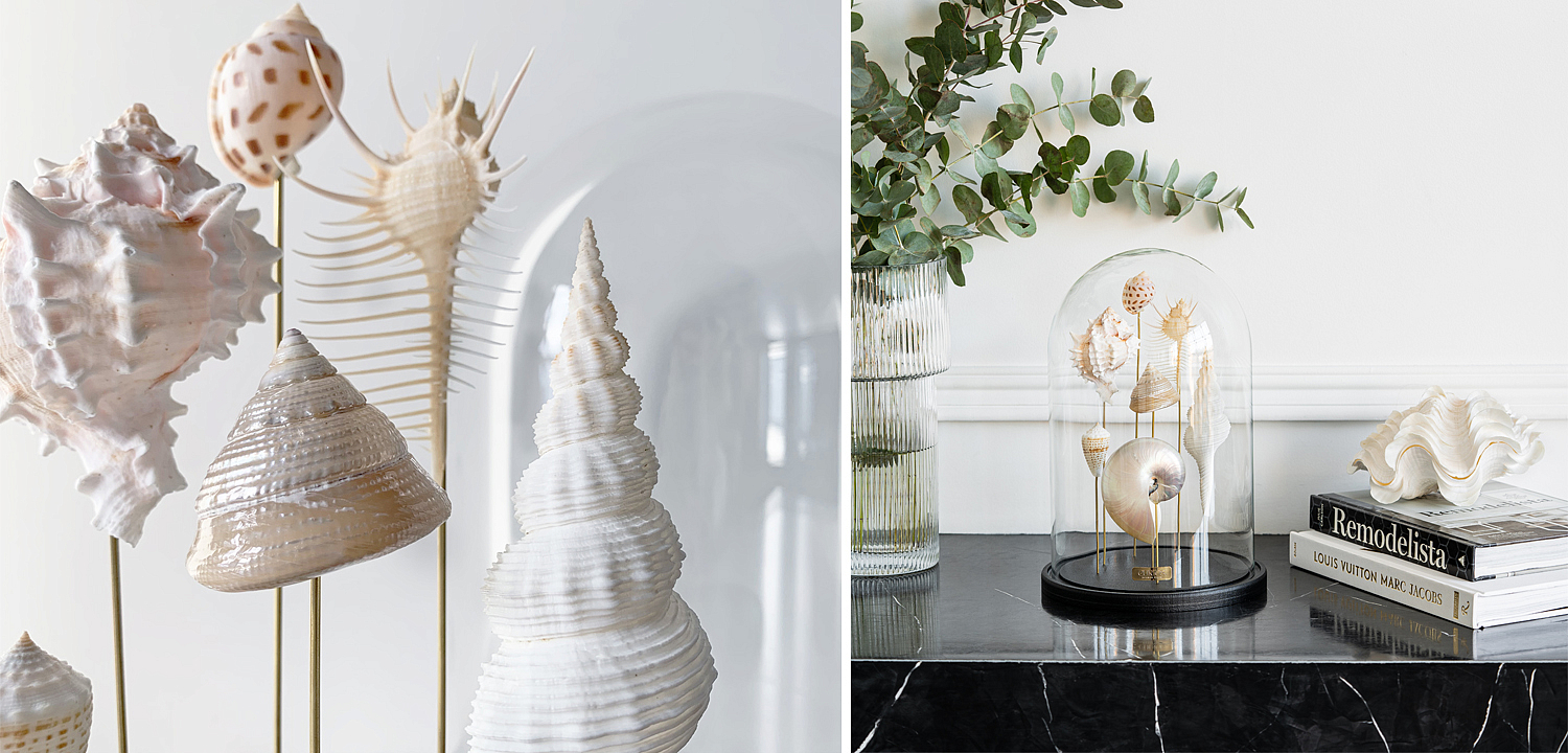 Статуэтка Shell Collection Glass Cloche 1 Статуэтка Shell Collection Glass Cloche 1 - Loft-Concept в Орле