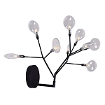 Бра в виде ветвей с прозрачными круглыми плафонами Moooi варинант исполнения - 2 | Loft Concept в Орле