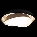 Потолочный светильник круглый черного цвета из металла Vita Cuna варинант исполнения - 1 | Loft Concept в Орле