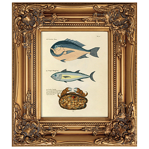 Постер в раме из натурального дерева Fishes 5