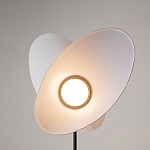 Напольный светильник Evolution 3000К 12Вт варинант исполнения - 5 | Loft Concept в Орле