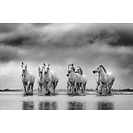 Книга Beusker. Look into my Eyes варинант исполнения - 4 | Loft Concept в Орле