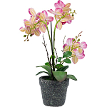 Декоративный искусственное растение Pink orchid варинант исполнения - 5 | Loft Concept в Орле