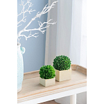 Декоративный искусственное растение Square boxwood варинант исполнения - 5 | Loft Concept в Орле