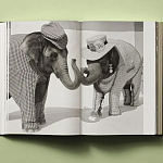 Книга в подарок творческий путь Брюса Вебера Bruce Weber. My Education варинант исполнения - 6 | Loft Concept в Орле