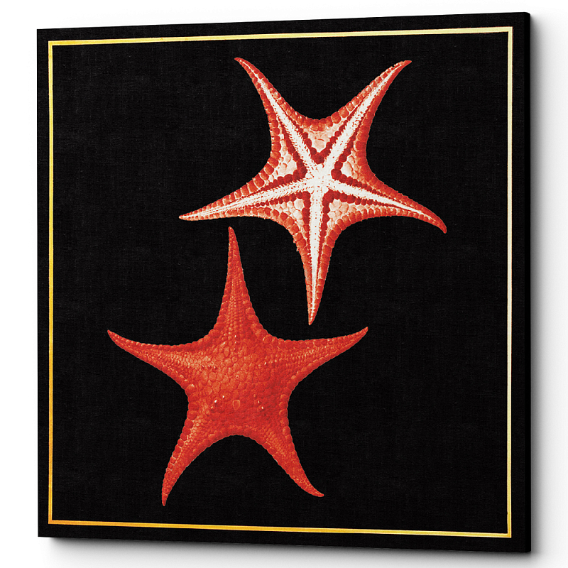 Постер Sea Stars Poster Черный Красный Постер Sea Stars Poster Черный Красный в Орле | Loft Concept