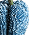 Статуэтка тропический фрукт Tropical Fruit blue варинант исполнения - 3 | Loft Concept в Орле