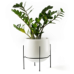 Кашпо из керамики Elevated Planters 32 варинант исполнения - 11 | Loft Concept в Орле