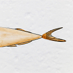 Плитка с узором Рыба Русалка варинант исполнения - 6 | Loft Concept в Орле