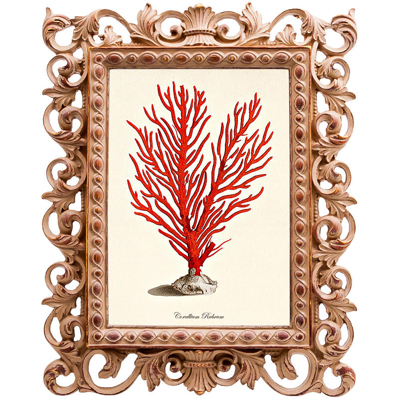 Постер Red Coral Poster 1 Бежевый Красный Постер Red Coral Poster 1 Бежевый Красный в Орле | Loft Concept