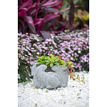 Кашпо A collection of baby rabbits варинант исполнения - 9 | Loft Concept в Орле