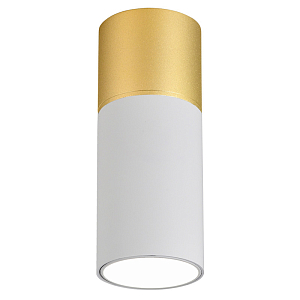 Накладной светодиодный спот Delightfull White&Gold