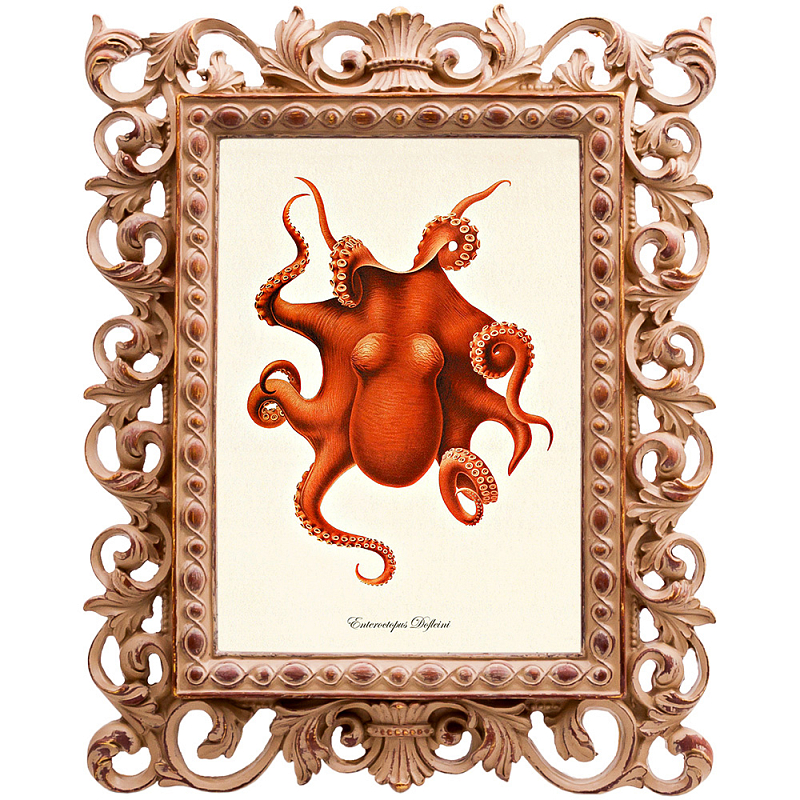 Постер Red Octopus Poster Бежевый Красный в Орле | Loft Concept 