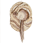 Овальный Современный Гобелен Абстракция в бежевых тонах Shallow варинант исполнения - 7 | Loft Concept в Орле