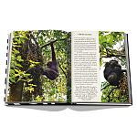 Подарочнный коллекционный фото альбом AFRICAN ADVENTURES NEW 2023 ASSOULINE HC UNBELIEVABLE ILLUSTRATIONS Safari варинант исполнения - 8 | Loft Concept в Орле