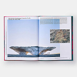 Radical Architecture of the Future варинант исполнения - 4 | Loft Concept в Орле