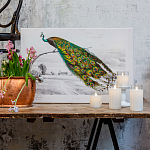 Постер на холсте с изображением павлина на ветке Majestic Peacock on a Tree Poster варинант исполнения - 2 | Loft Concept в Орле