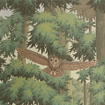 Обои ручная роспись Redwoods Sequoia colourway on Aurore scenic paper варинант исполнения - 2 | Loft Concept в Орле