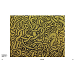 Редкое подарочное издание Yayoi Kusama: 1945 to Now варинант исполнения - 7 | Loft Concept в Орле