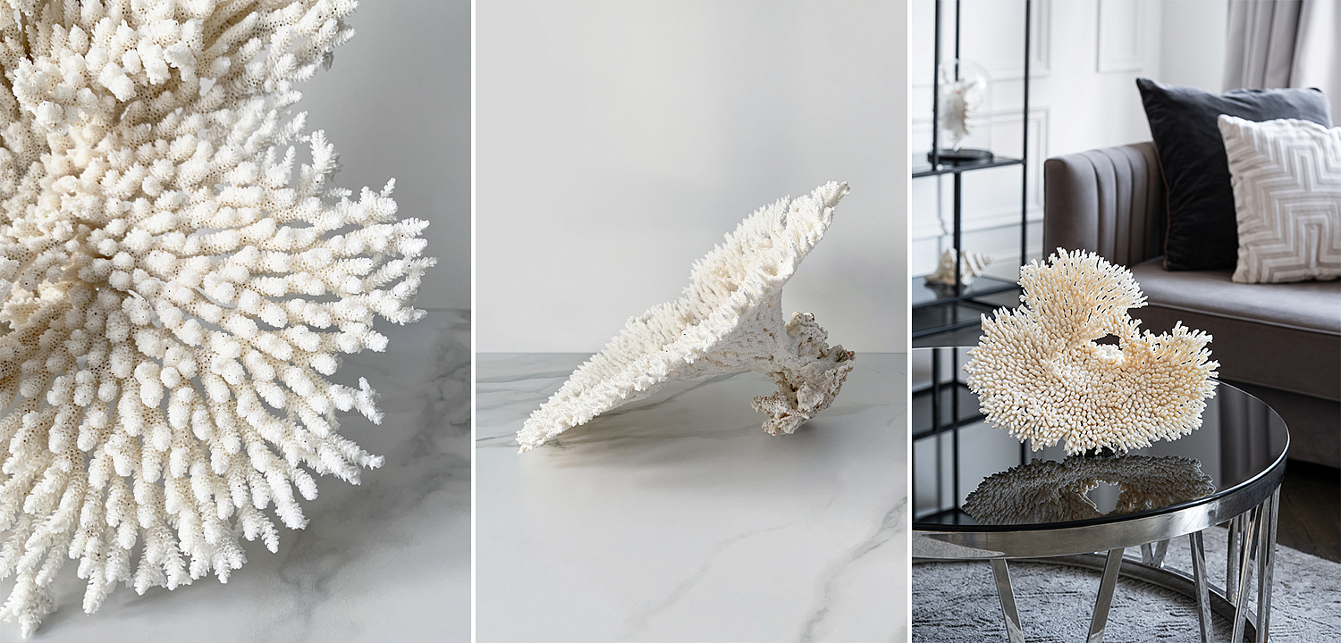 Статуэтка Table Coral Статуэтка Table Coral - Loft-Concept в Орле