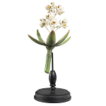 Статуэтка Wonderboom варинант исполнения - 1 | Loft Concept в Орле