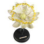 Статуэтка Tilia варинант исполнения - 1 | Loft Concept в Орле