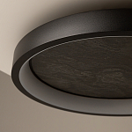 Потолочный светильник Orign 3000К варинант исполнения - 5 | Loft Concept в Орле