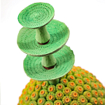 Статуэтка тропический фрукт Tropical Fruit Amazonica Green Yellow варинант исполнения - 1 | Loft Concept в Орле