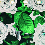 Штора Seletti Roses варинант исполнения - 1 | Loft Concept в Орле