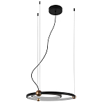 Люстра подвесная светодиодная черный металл Ring Horizontal варинант исполнения - 2 | Loft Concept в Орле