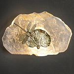 Бра Декоративный лист с стрекозой Glacial Fragment варинант исполнения - 2 | Loft Concept в Орле