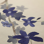 Обои ручная роспись Cherry Tree Original colourway on Stone Ochre dyed silk варинант исполнения - 3 | Loft Concept в Орле