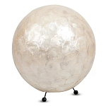 Настольная лампа из перламутра на металлическом каркасе Indonesian Egg варинант исполнения - 1 | Loft Concept в Орле