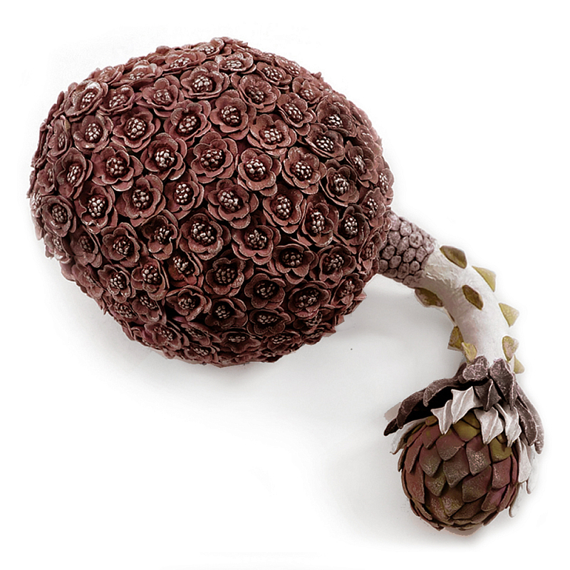 Коричневый фрукт Exotic Fruit Artichoke Brown 42 Коричневый Коричневый фрукт Exotic Fruit Artichoke Brown 42 Коричневый в Орле | Loft Concept