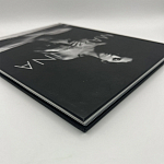 Коллекционная редкая книга Madonna: Nudes + by Martin H.M. Schreiber 2017 Букинистика варинант исполнения - 4 | Loft Concept в Орле