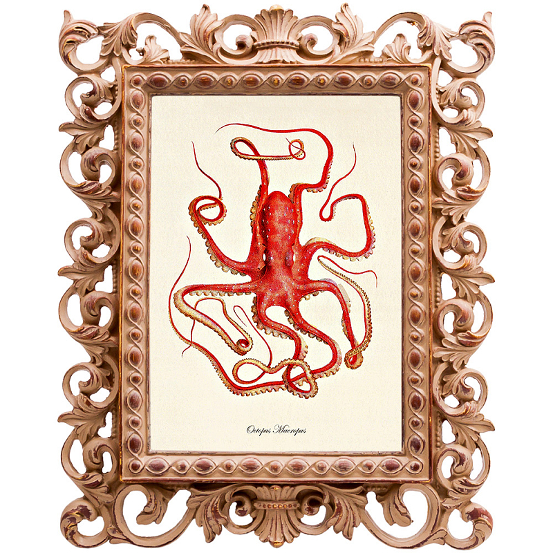 Постер Red Squid Poster Бежевый Красный Постер Red Squid Poster Бежевый Красный в Орле | Loft Concept