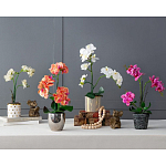 Декоративный искусственное растение Pink orchid варинант исполнения - 11 | Loft Concept в Орле