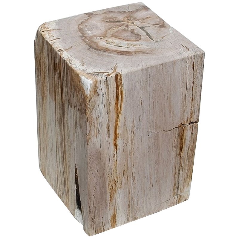 Стул из окаменелого дерева Petrified Wood Square Бежевый Стул из окаменелого дерева Petrified Wood Square Бежевый в Орле | Loft Concept