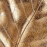 Статуэтка Metal Flowers Gold Black powder варинант исполнения - 2 | Loft Concept в Орле