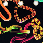 Штора Seletti Snakes Black варинант исполнения - 1 | Loft Concept в Орле