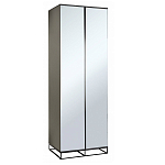 Двухдверный шкаф с зеркальными дверцами Strict Lines варинант исполнения - 1 | Loft Concept в Орле