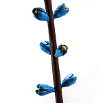 Синий экзотический фрукт статуэтка для интерьераTropical Fruit Pandora 9 варинант исполнения - 2 | Loft Concept в Орле