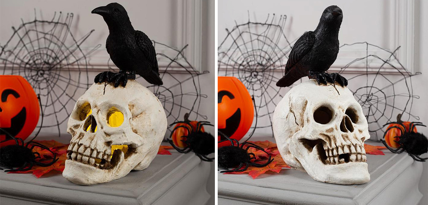 Статуэтка Raven and Skull II Статуэтка Raven and Skull II - Loft-Concept в Орле