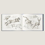 Лимитированная подарочная книга HERMES Fierce and Fragile book, English version варинант исполнения - 4 | Loft Concept в Орле