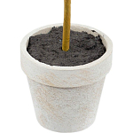 Декоративный искусственное растение Boxwood One варинант исполнения - 3 | Loft Concept в Орле