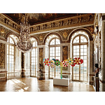 Коллекционный Арт-альбом Murakami Versailles 2011 Букинистика варинант исполнения - 3 | Loft Concept в Орле