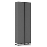 Двухдверный шкаф цвета графит Strict Lines варинант исполнения - 1 | Loft Concept в Орле