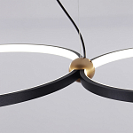Люстра подвесная светодиодная черный металл Ring Horizontal варинант исполнения - 11 | Loft Concept в Орле