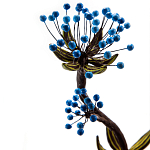 Экзотический фрукт статуэтка для интерьераTropical Fruit Pandora 7 варинант исполнения - 2 | Loft Concept в Орле